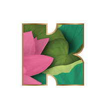 Kapiva - Buy Modern Ayurvedic Products Online for Complete Nutrition
